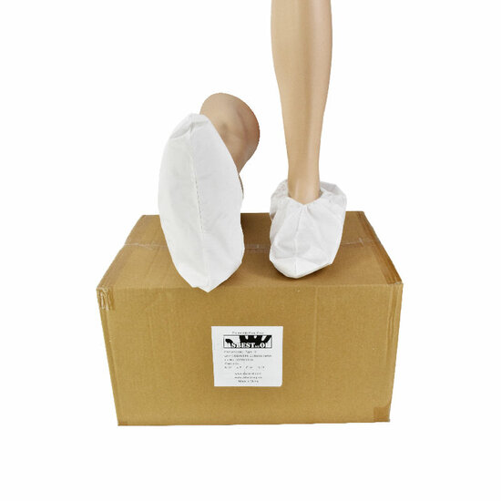 Asbestshop T10 (BO&Icirc;TE / 250 paires)
